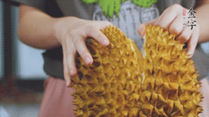 榴蓮剝好肉后，搗成泥狀。