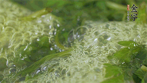 艾草葉放入煮沸的水中，加點(diǎn)食用堿，待變成深綠色時(shí)撈出，放入冰水中，瀝干備用。