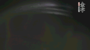 剝去外殼的筍、切花刀的香菇、豌豆入沸水焯水。