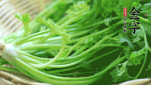 挑選鮮嫩的香菜，洗干凈后，處理成小段。