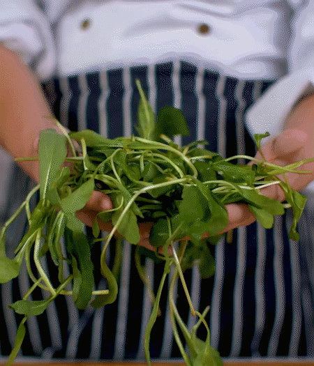 馬蘭頭焯水，切成細(xì)末。